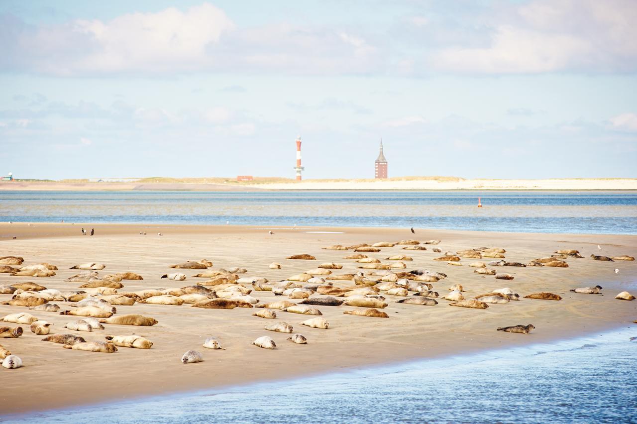 Jugendherberge Wangerooge Wangerooge Island Exterior foto